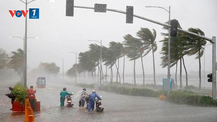 Mùa mưa bão 2021: Có 5 đến 6 cơn bão ảnh hưởng trực tiếp đến đất liền (02/05/2021)