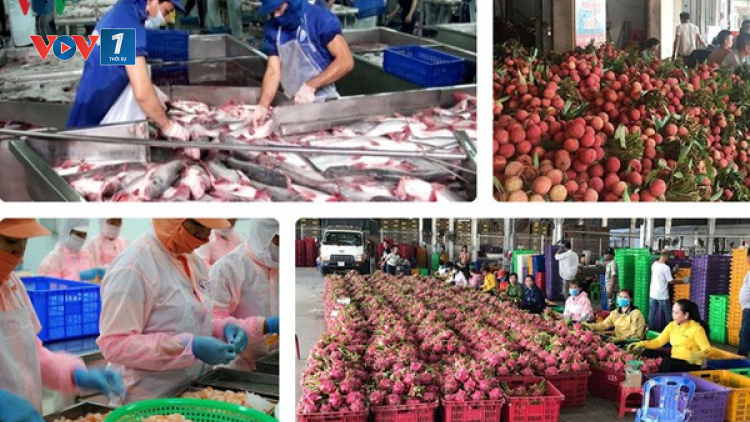Khó kiểm soát nguồn gốc nông sản, an toàn vệ sinh thực phẩm (27/05/2021)