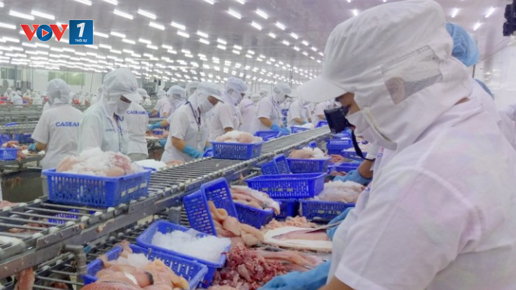 ĐBSCL: Sự vào cuộc quyết liệt trong phòng, chống dịch Covid-19 giúp kinh tế từng bước phục hồi (08/05/2021)