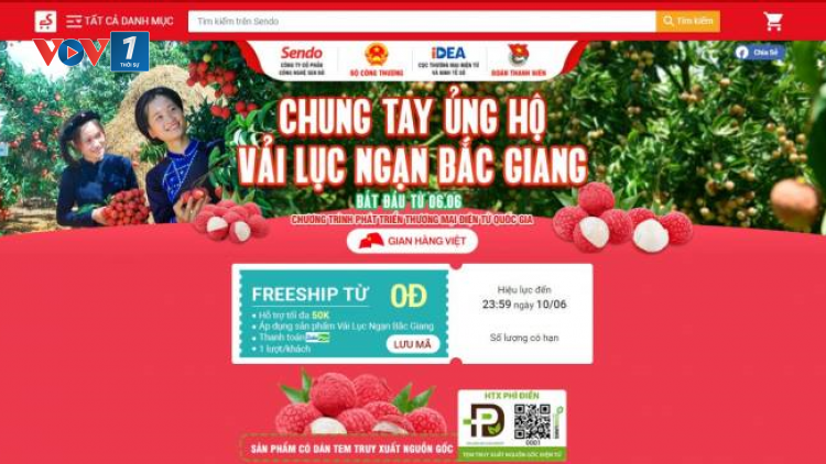 Các sàn thương mại điện tử thúc đẩy tiêu thụ nông sản ( 08/06/2021)