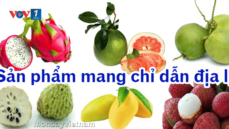 Đăng ký bảo hộ chỉ dẫn địa lý - tấm giấy thông hành cho nông sản Việt ra thế giới (19/06/2021)