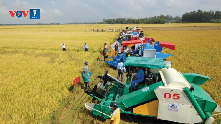 Lời giải cho bài toán cơ giới hóa trong sản xuất nông nghiệp (19&20/06/2021)