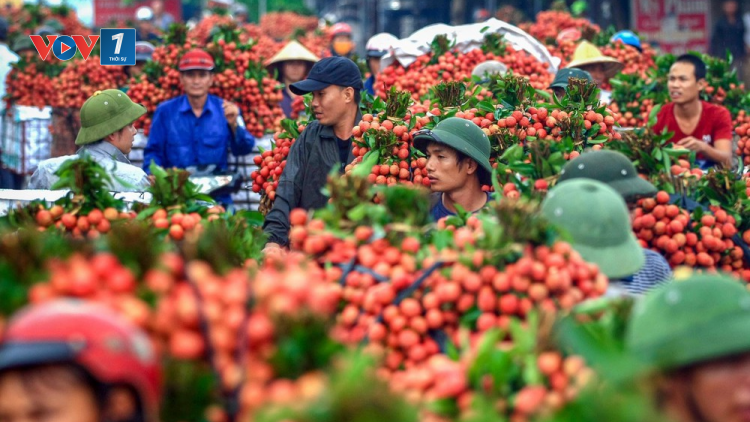 Để sản phẩm nông sản là niềm tự hào của người dân (10/06/2021)