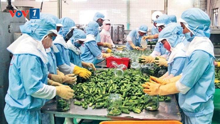 Nông sản tăng trưởng mạnh trong dịch Covid 19 (18/06/2021)