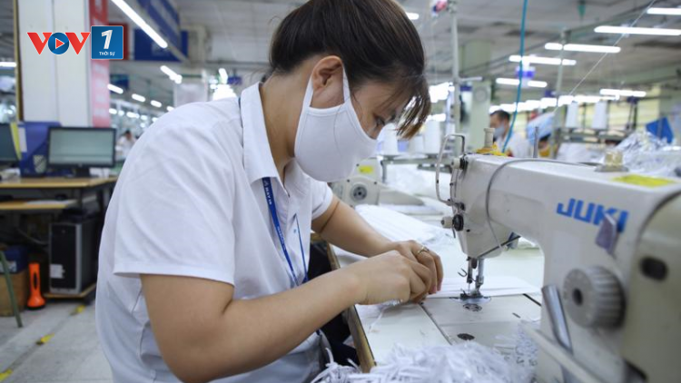 Gói hỗ trợ lần 2: Giảm bớt các thủ tục triển khai nhanh, đúng và trúng đối tượng thụ hưởng (29/6/2021)