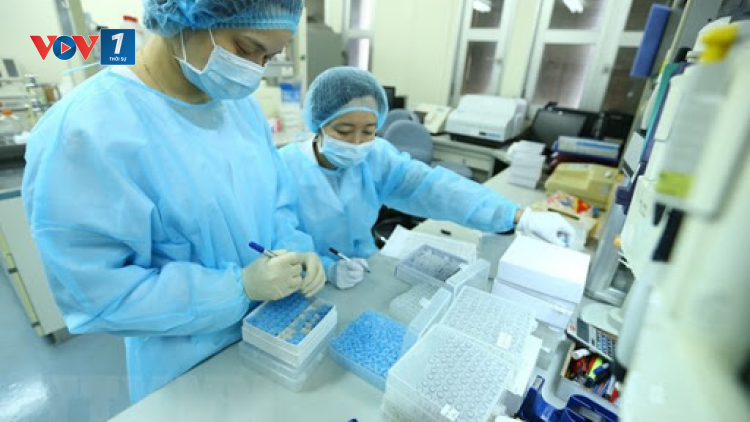 THỜI SỰ 18H CHIỀU 28/6/2021: Các nhà khoa học Việt Nam nghiên cứu tổng hợp thuốc điều trị cho
SARS-CoV-2.