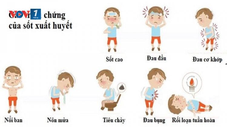 Không chủ quan trước dịch bệnh sốt xuất huyết (3/7/2021)