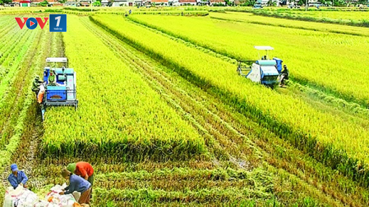 Giảm chi phí đầu vào trong sản xuất nông nghiệp (15/07/2021)