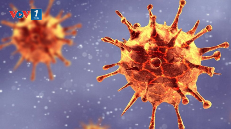 Cảnh báo mức độ nguy hiểm của biến thể mới virus Sars-Cov-2 (30/05/2021)