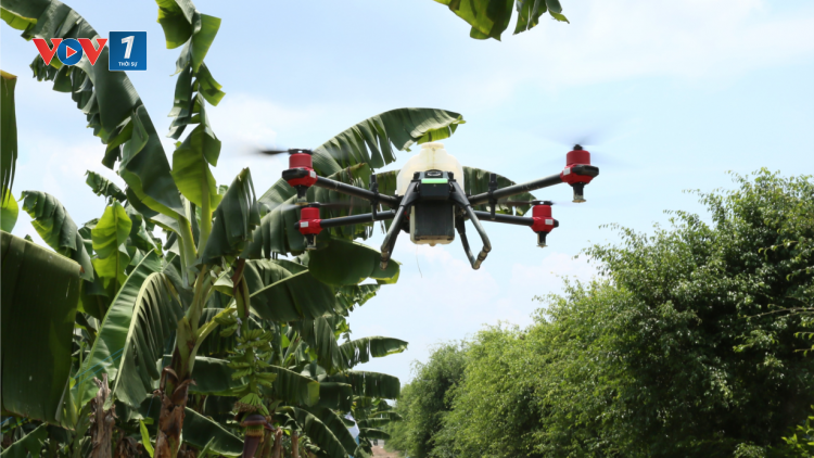 Thiết bị Drone phun thuốc trừ sâu có an toàn, tiết kiệm như quảng cáo? (03+04/07/2021)