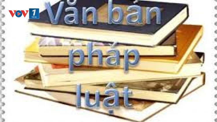 Hoàn thiện hệ thống pháp luật và tổ chức thi hành pháp luật (12/07/2021)