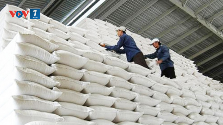 THỜI SỰ 18H CHIỀU 19/8/2021: Bộ LĐ-TB&XH đề nghị Chính phủ hỗ trợ hơn 130.000 tấn gạo cứu đói người dân bị ảnh hưởng do Covid-19