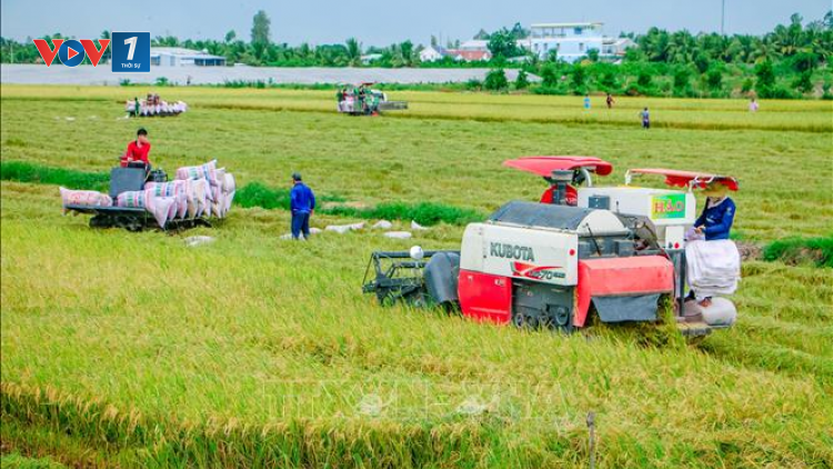 NH Nhà nước yêu cầu đảm bảo vốn tín dụng thu mua, tạm trữ thóc, gạo (12/8/2021)