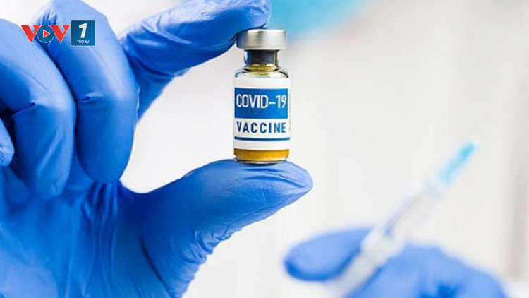 THỜI SỰ 12H TRƯA 07/08/2021: 4 hiệp hội đề xuất Chính phủ hỗ trợ đàm phán mua vaccine