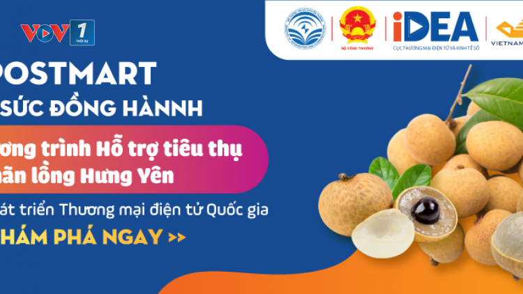 Thương mại điện tử cần được tạo điều kiện tốt hơn, phát triển xứng với tiềm năng (05/08/2021)