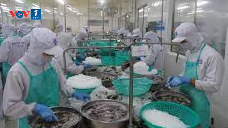 Doanh nghiệp chế biến xuất khẩu thủy sản ứng phó với dịch covid 19 (26/08/2021)