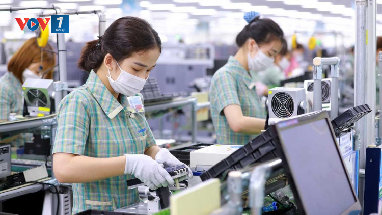 Nỗ lực duy trì sản xuất, giữ vững "vùng xanh" (26/8/2021)