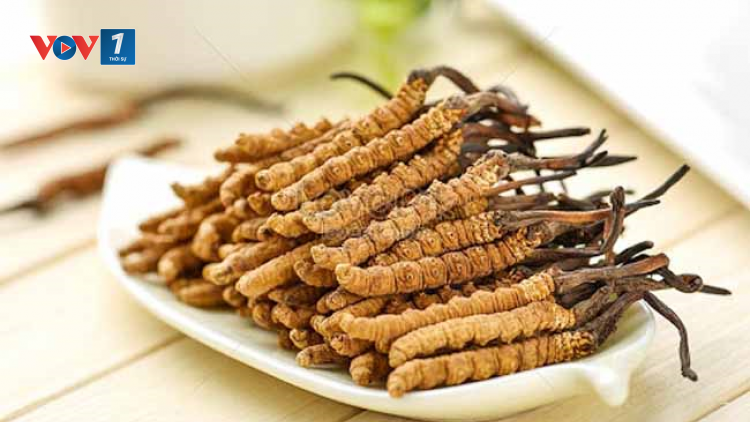 Hỗ trợ điều trị biến chứng tiểu đường nhờ Nano Đông trùng hạ thảo (10/8/2021)