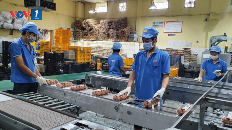 THỜI SỰ 12H TRƯA 4/8/2021: Áp dụng phương án “3 tại chỗ” trong các khu công nghiệp để tránh đứt gãy chuỗi sản xuất.