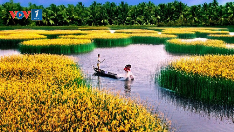 Mô hình trữ nước đảm bảo sản xuất ở Đồng bằng Sông Cửu Long (23/09/2021)
