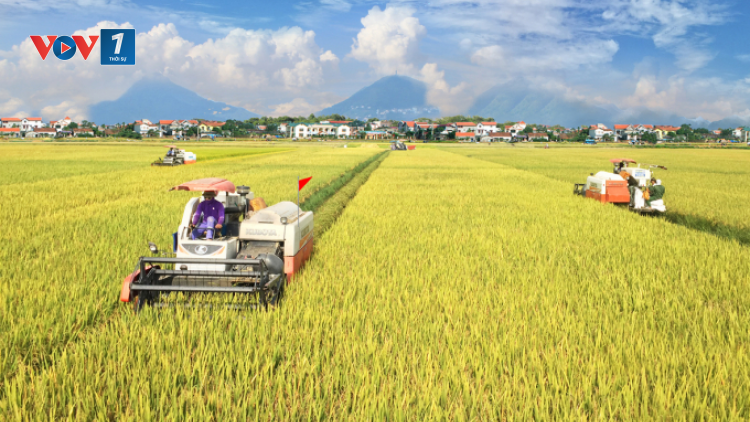 Vĩnh Phúc: Nâng cao thu nhập với sản phẩm OCOP (01/09/2021)