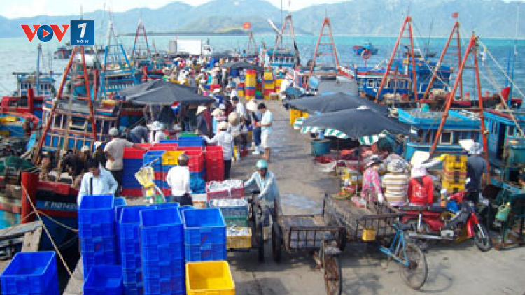 Khánh Hòa: Cảng cá Hòn Rớ trở lại hoạt động sau giãn cách xã hội. (21/09/2021)