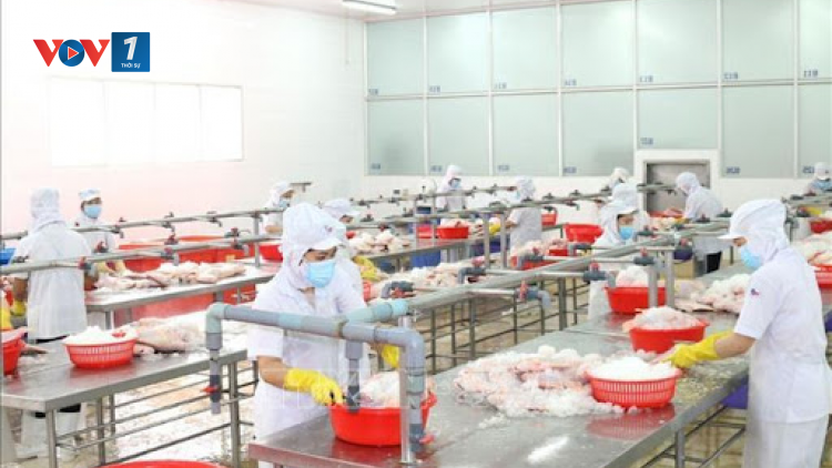 THỜI SỰ 12H TRƯA 02/09/2021: Nhiều doanh nghiệp duy trì sản xuất theo phương án “3 tại chỗ”