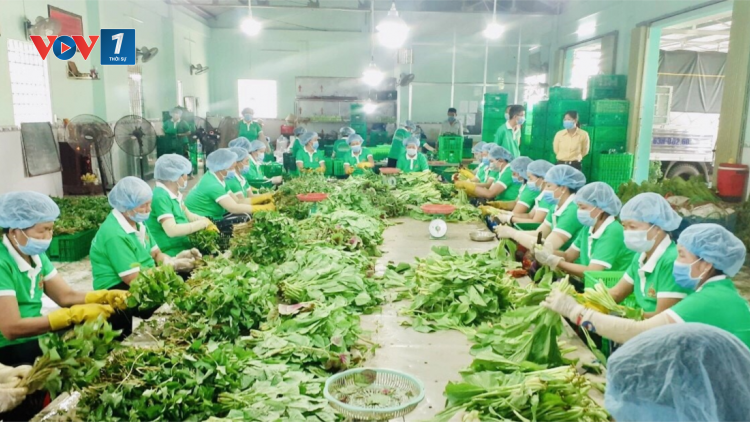 Diễn đàn thông tin kết nối sản xuất và tiêu thụ nông sản: kết nối người sản xuất, doanh nghiệp, thị trường trên nền tảng số (04/09/2021)