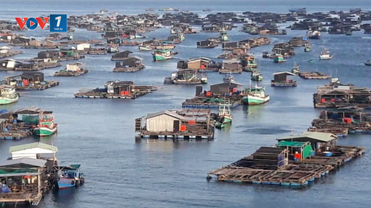 Chủ động trong nuôi trồng thủy sản ứng phó với thời tiết cực đoan (21/09/2021)