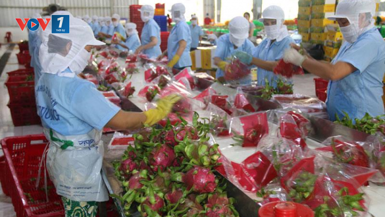 Tháo gỡ khó khăn, phục hồi sản xuất nông nghiệp, thuỷ sản các tỉnh phía Nam sau giãn cách (22/09/2021)