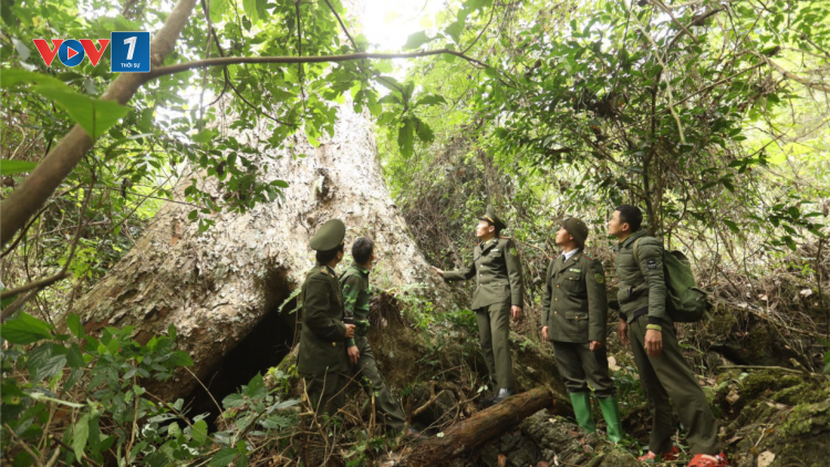 Lâm Bình, Tuyên Quang - Dựa vào cộng đồng bảo vệ “lá phổi xanh” (17/01/2023)