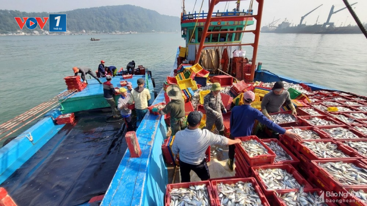 THỜI SỰ 6H SÁNG 26/1/2023: Ngư dân tại nhiều địa phương chuẩn bị cho chuyến “mở biển” đầu năm