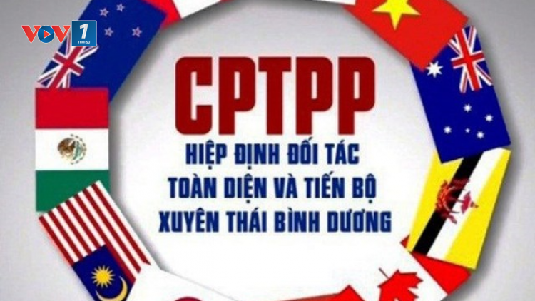 Nhìn lại 4 năm Hiệp định CPTPP có hiệu lực với Việt Nam: Những điểm cần lưu ý (12/1/2023)