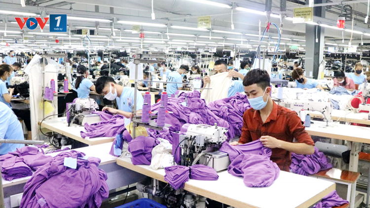 Xin đừng đủng đỉnh Giêng-Hai (31/1/2023)