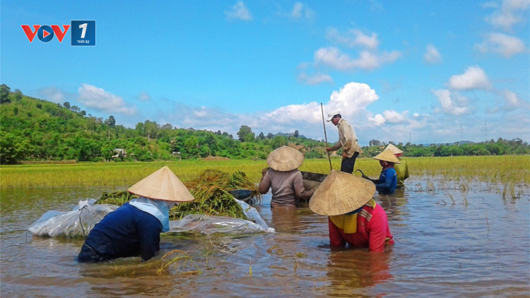 THỒI SỰ 18H CHIỀU 7/1/2023: Liên kết vùng phải thực chất, khắc phục tình trạng cục bộ địa phương.