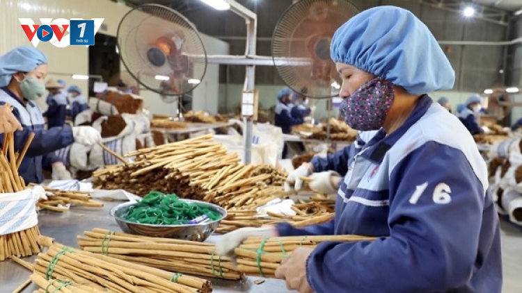 Đẩy mạnh xuất khẩu nông sản thế mạnh những tháng cuối năm (06/10/2023)