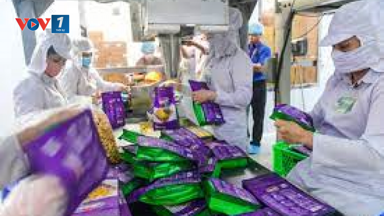 THỜI SỰ 21H30 ĐÊM 27/10/2023: Nhiều ý kiến đại biểu Quốc hội đồng tình với đề xuất kéo dài thời gian giảm thuế giá trị gia tăng cho doanh nghiệp để thúc đẩy sản xuất và tăng trưởng.