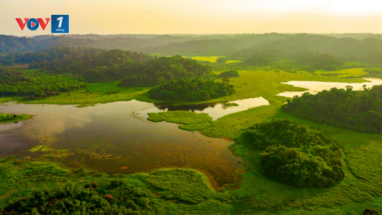 Việt Nam quy hoạch nhằm tăng thêm các khu Ramsar (17/02/2023)