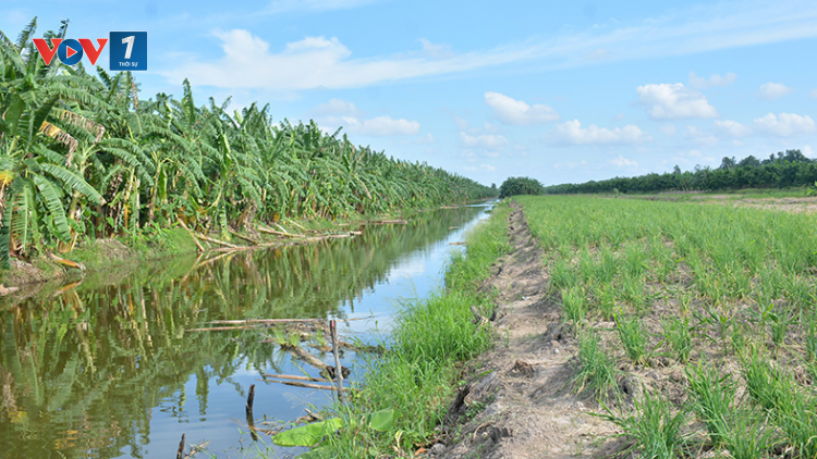 Khát vọng khởi nghiệp từ tài nguyên bản địa tại khu Ramsar U Minh Thượng (20/4/2023)