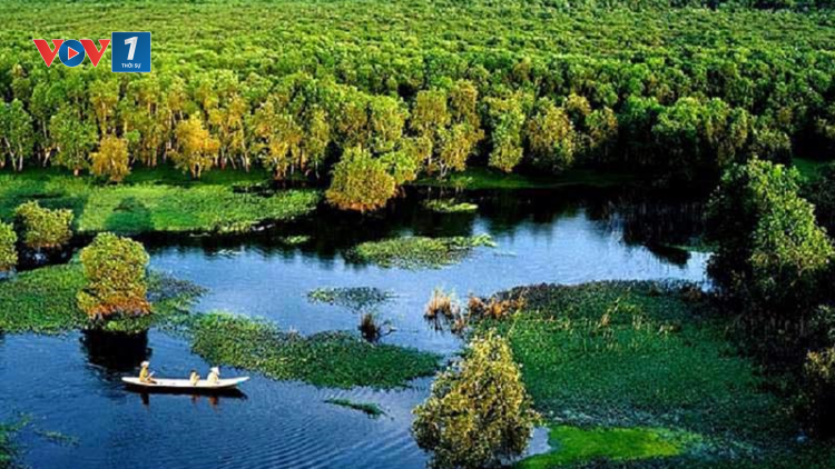 Bảo tồn thiên nhiên tại các vùng đất ngập nước (02/08/2023)