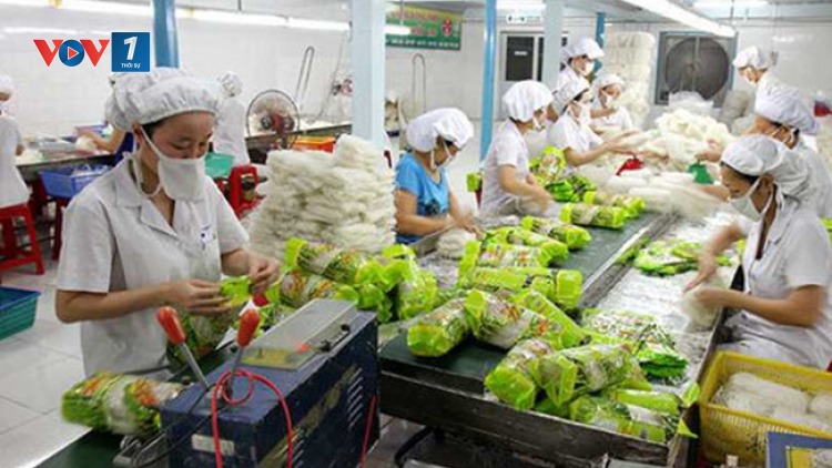 kim ngạch xuất khẩu rau quả lập kỷ lục mới
