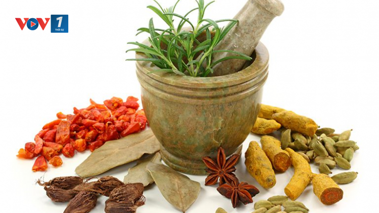 THỜI SỰ 6H SÁNG 06/11/2023: Cảnh báo hệ lụy từ việc người bệnh tự ý sử dụng các bài thuốc dân gian chữa suy thận khiến tình trạng bệnh lý trở nên trầm trọng