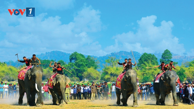 THỜI SỰ 21H30 ĐÊM 12/11/2023: Tây Nguyên tìm giải pháp phát triển bền vững du lịch văn hoá và du lịch sinh thái