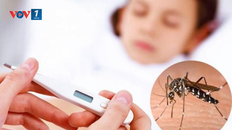 Phòng tránh biến chứng nguy hiểm khi mắc sốt xuất huyết (19/11/2023)