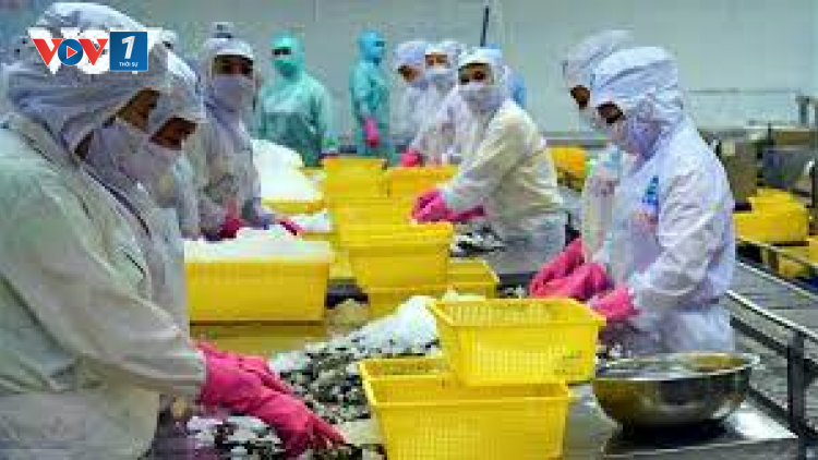 Cần các giải pháp đột phá để gia tăng hiệu quả thực thi FTA tại địa phương (07/11/2023)