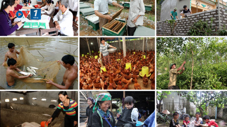 “Chung tay giúp hộ nghèo giảm nghèo nhanh, bền vững” (27/11/2023)
