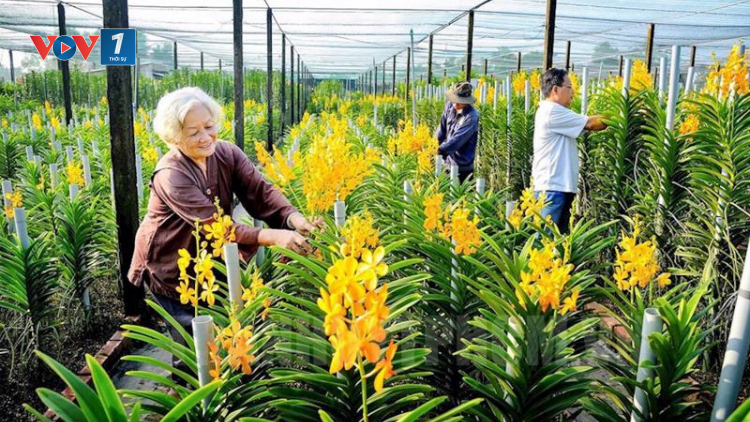 Đổi mới nông nghiệp cần thay đổi tư duy (12/12/2023)