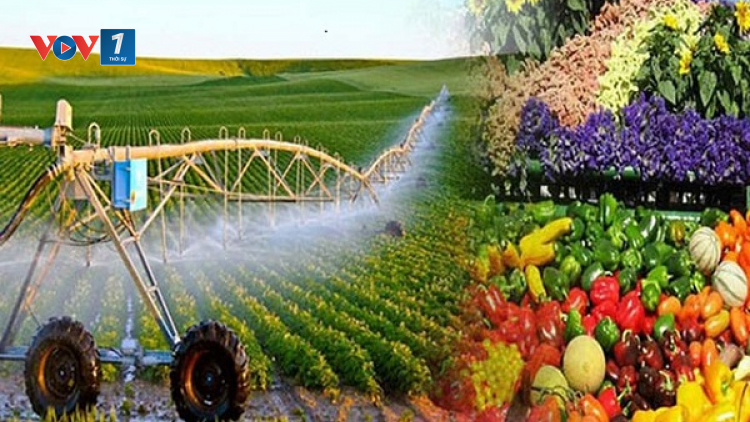 Nông nghiệp tăng trưởng cao nhất trong nhiều năm trở lại đây (29/12/2023)