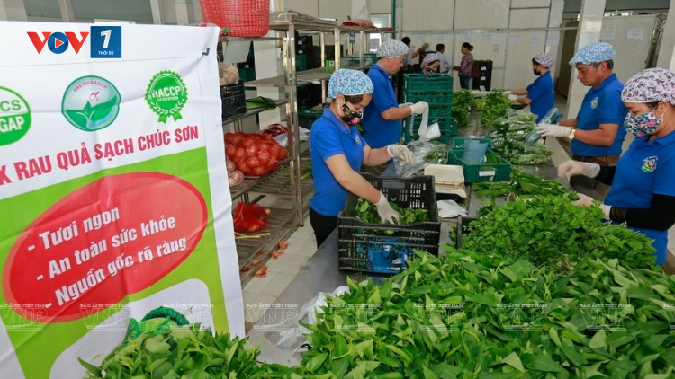 Những trăn trở của các Hợp tác xã Nông nghiệp (22/12/2023)