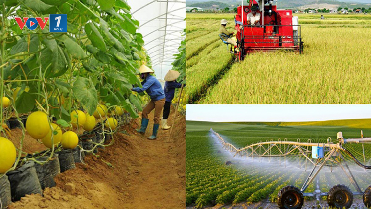 Phát triển kinh tế tập thể làm nền tảng xây dựng nông thôn mới (21/12/2023)
